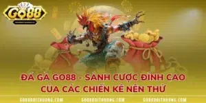 Đá Gà GO88 - Sảnh Cược Đỉnh Cao Của Các Chiến Kê Nên Thử