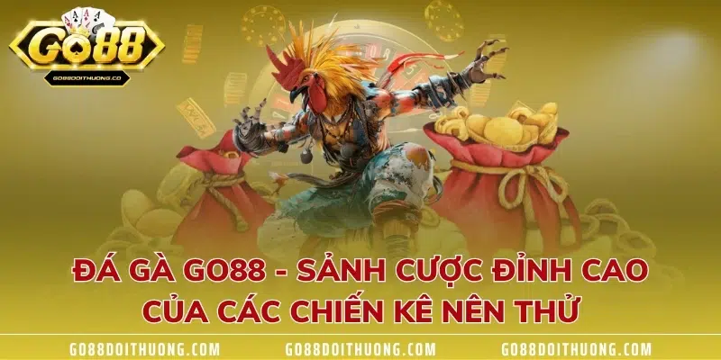 Đá Gà GO88 - Sảnh Cược Đỉnh Cao Của Các Chiến Kê Nên Thử