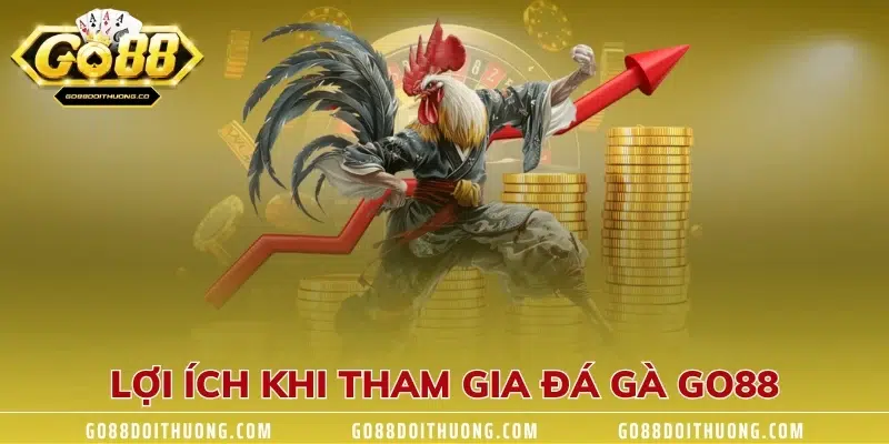 Lợi ích khi tham gia đá gà GO88