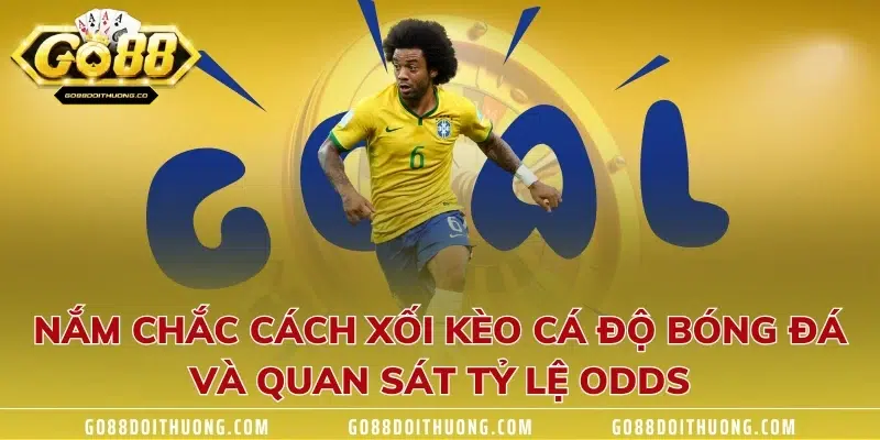 Nắm chắc cách xối kèo cá độ bóng đá và quan sát tỷ lệ Odds