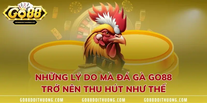 Những lý do mà đá gà GO88 trở nên thu hút như thế