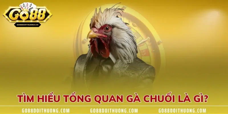 Tìm hiểu tổng quan gà chuối là gì? 