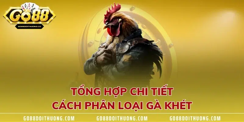 Tổng hợp chi tiết cách phân loại gà khét