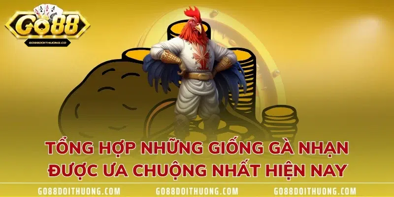 Tổng hợp những giống gà nhạn được ưa chuộng nhất hiện nay